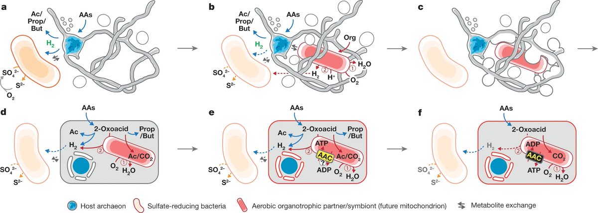 mary williams tweet media
