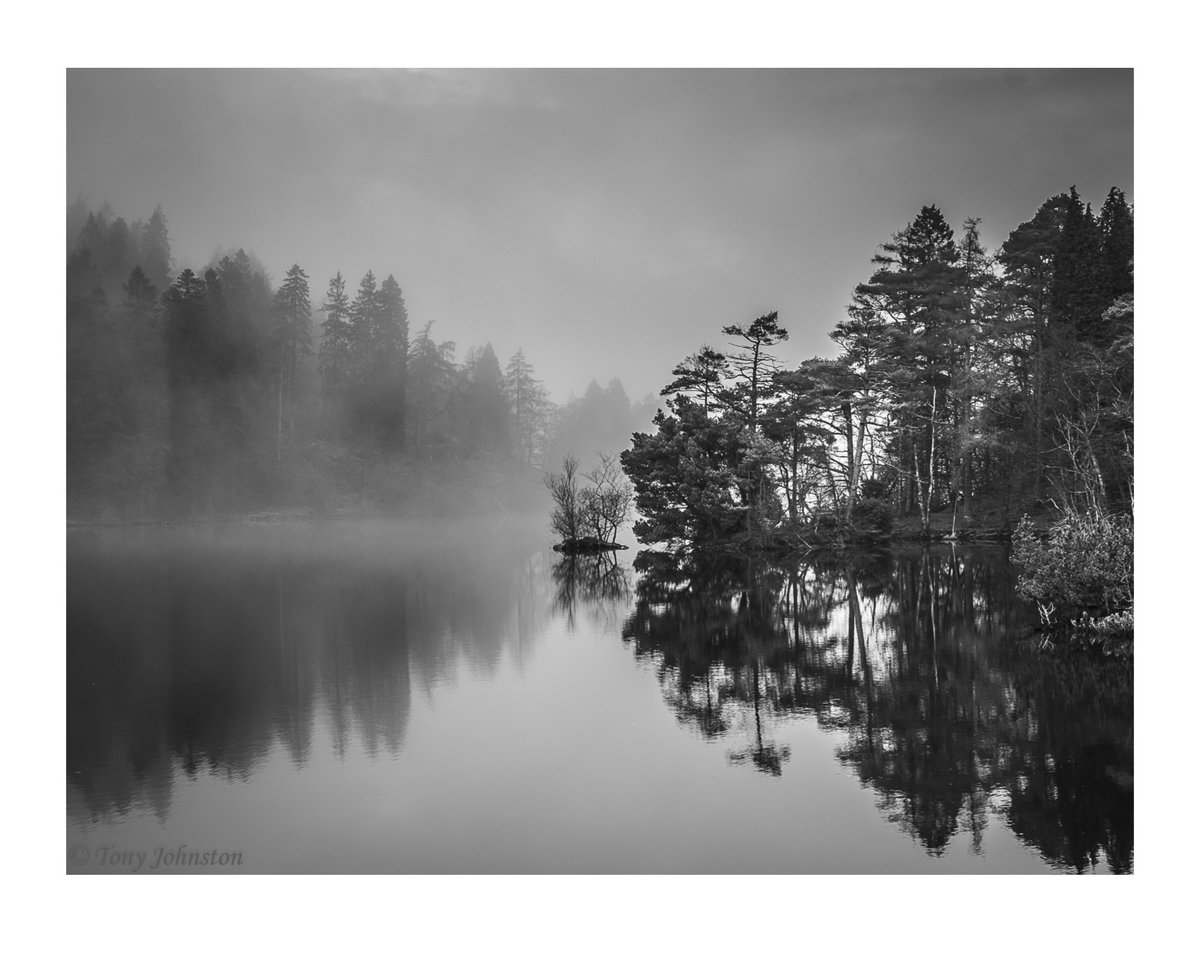 Tarn Hows a few from a the misty conditions this week #landscapephotography #Cumbria #notjustthelakes  #thephotohour #theplacetobe #landscapelovers  #BestofCumbria @CumbriaWeather #Monochrome #tarnhows @WildLakeland