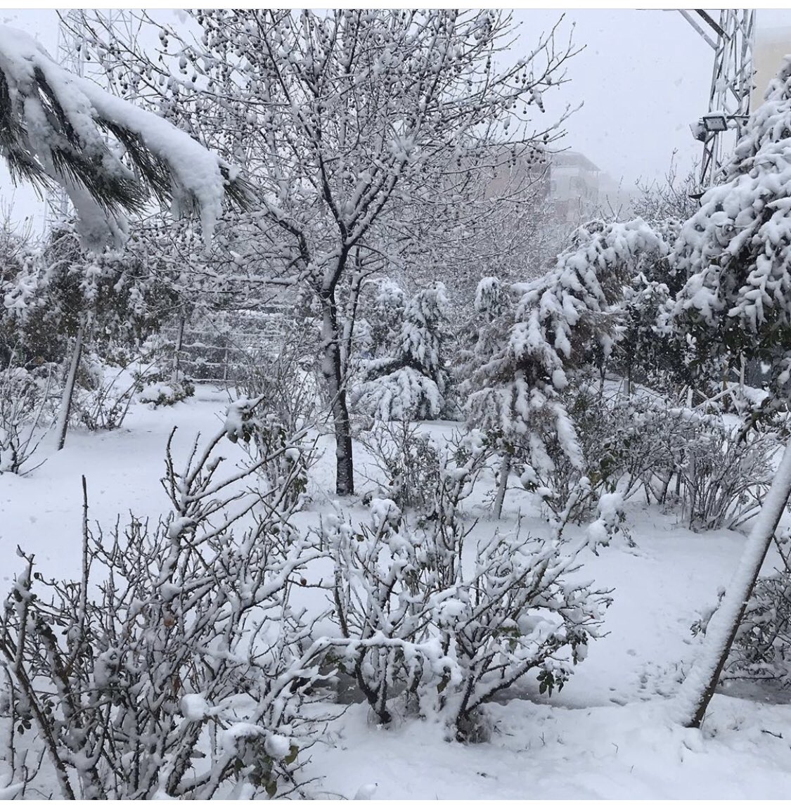 İdil 3yıl aradan sonra ilk kar’ına büründü