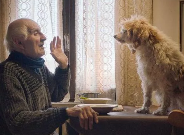 Dopo tre anni di lavoro, la pellicola girata sulle colline di Langhe Roero e Monferrato, che vede protagonisti i trifolau sarà presentata domenica al festival del cinema indipendente: Sundace Film Festival - fondato da Robert Redford - a Park City nello Utah