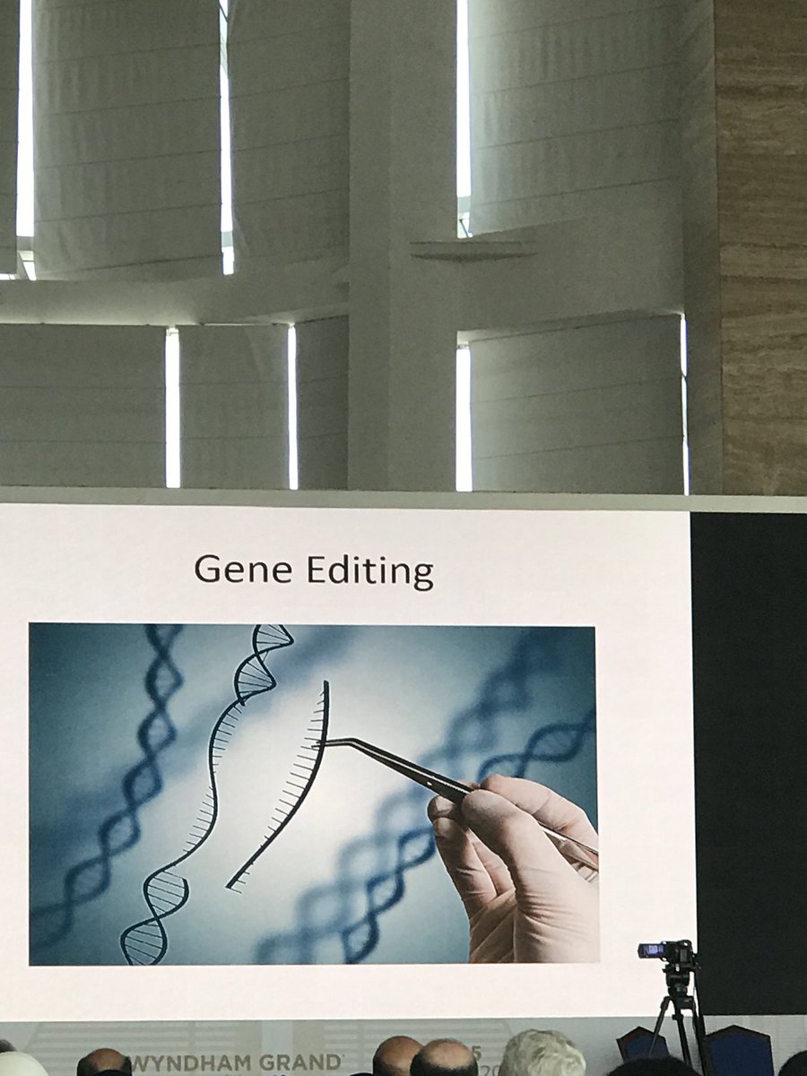 PdbInusa's tweet photo. Dr Hashmi talking on gene therapy and bone marrow transplantation in Haemoglobinopathy. King Faisal in Saudi leading in SCD bone marrow transplants in the world! https://t.co/u7N67V8lFt