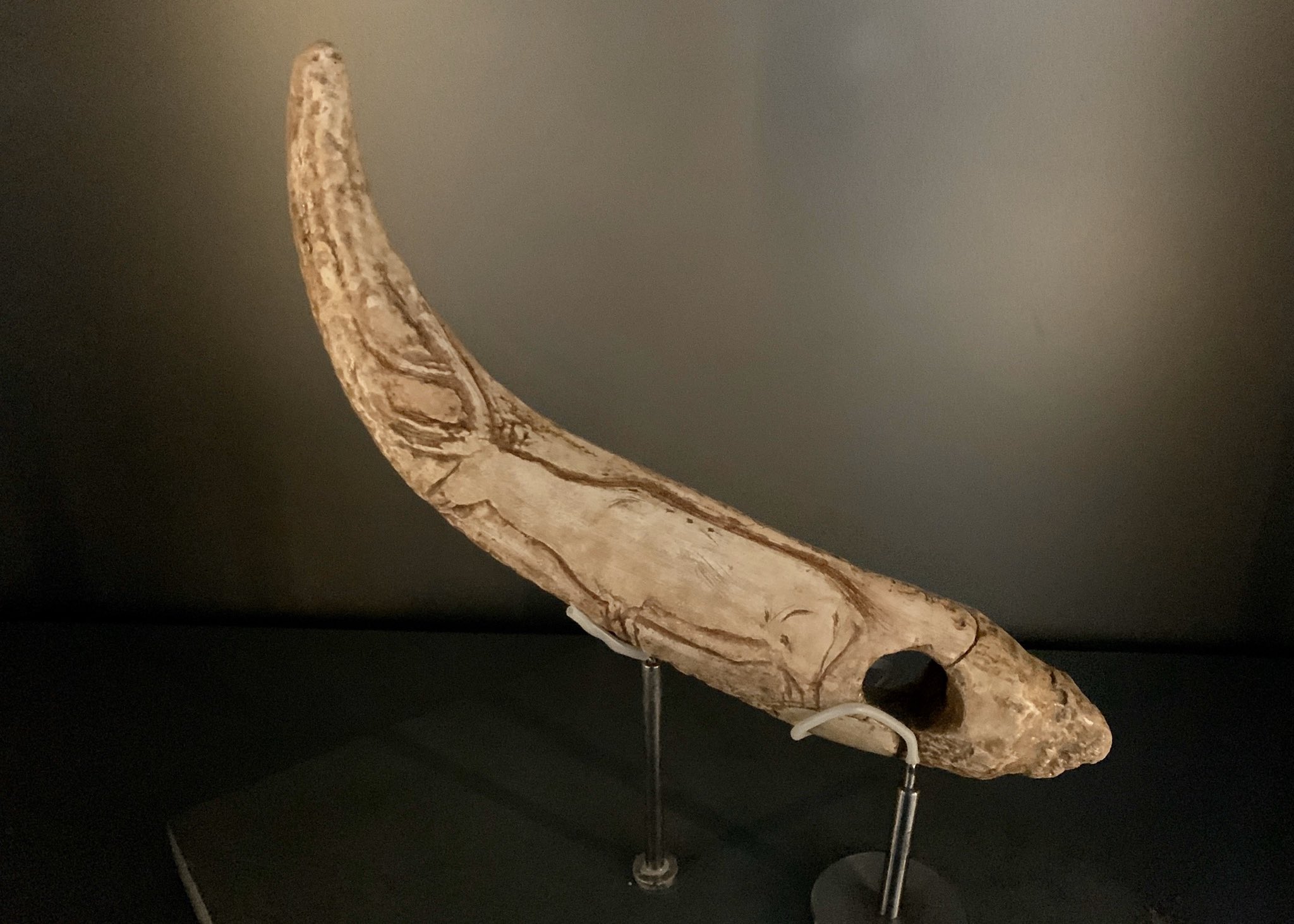 Subir y bajar A pie nativo Abraham Ramírez Martín on Twitter: "Estoy en el Museo de Altamira (otra vez) y os quiero enseñar este brutal bastón perforado de asta de ciervo decorado con (eso es) un ciervo, aunque Subir y bajar A pie nativo Abraham Ramírez Martín on Twitter: "Estoy en el Museo de Altamira (otra vez) y os quiero enseñar este brutal bastón perforado de asta de ciervo decorado con (eso es) un ciervo, aunque