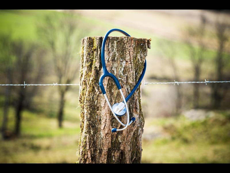 Selon les dernières projections de la Drees, en  2027 l'Hexagone devrait compter près de 30 % de généralistes libéraux de moins qu'en 2012.