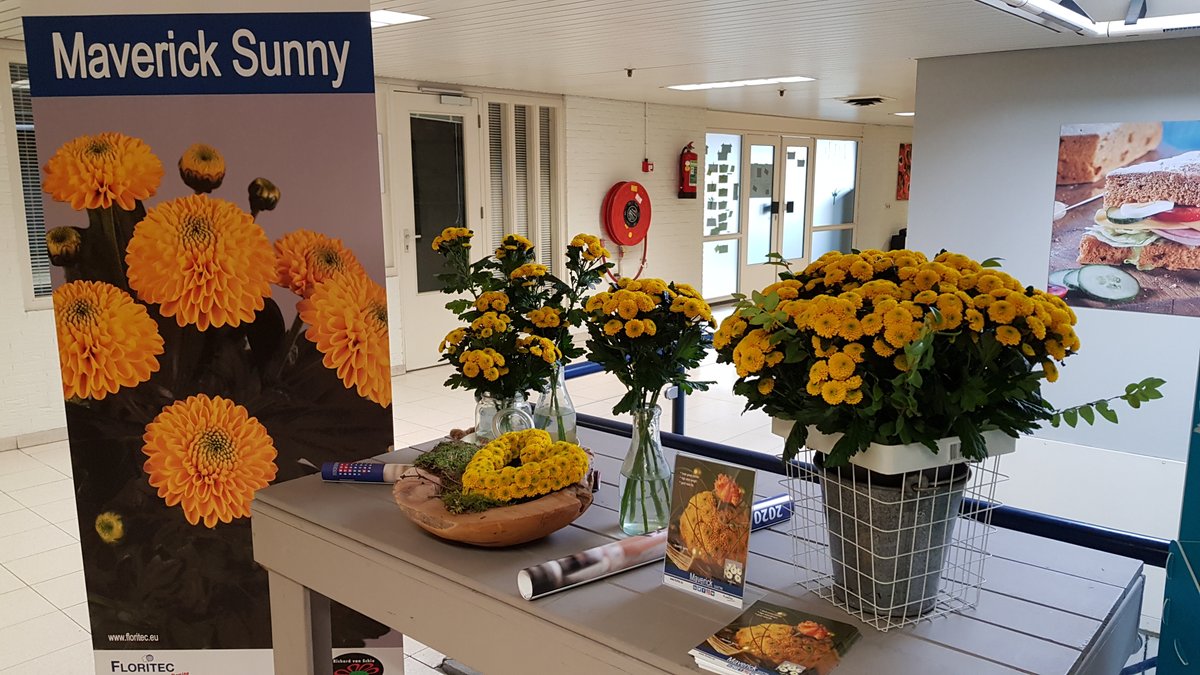 Floritec tweet media