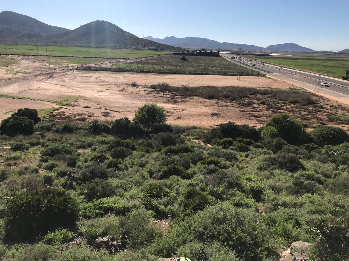 Estamos trabajando en la retención de #arrastres_sedimentos a nivel de parcela, con buenos resultados, y en la elaboración de un #proyecto de retención de sedimentos en el ámbito de la C.R Arco Sur.