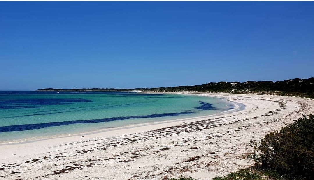 RedEarthSafaris's tweet photo. No smoke, no people, no worries. Travel Western Australia with us
.
.
#visitwa #westisbest #westernaustralia #realaustralia #thisisWA #turquoisecoast #tourismwa #travel #travelblogger #waisok #backpacking #tours… https://t.co/pzZQy0wS4f https://t.co/9vsXV4AahT