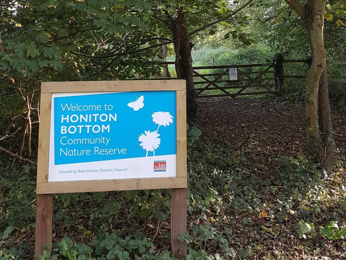 wildeastdevon's tweet photo. 👉 Apologies to anyone visiting #HonitonBottom Community Nature Reserve today, damage has occurred to one of the wooden bridges making it unsafe and so it is cordoned off as we work hard to make repairs as soon as possible https://t.co/jqmJc5hiHT