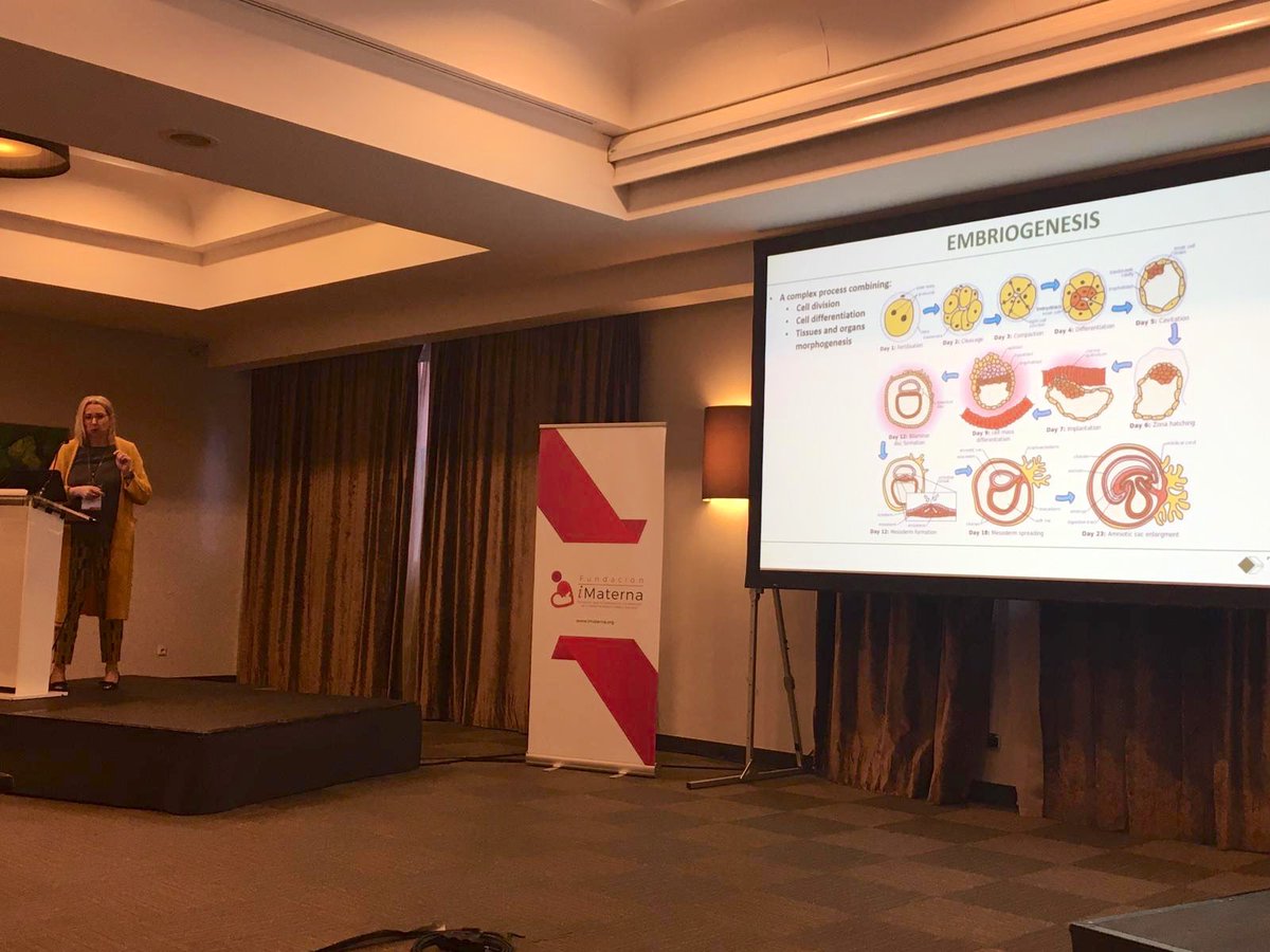 Francesca Grati nos habla de las bases de la gametogénesis y la embriogénesis #ICursoGeneticaPrenatal #ADN #genetics