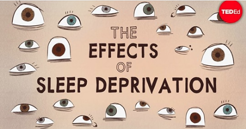 chiardilunabed's tweet photo. Cosa avviene al tuo organismo se non #dormi? 😴 Scopri, in questo simpatico video di TED-Ed cosa succede al tuo #corpo e #cervello https://t.co/OT3SSPNij1 https://t.co/FyFeswpOxR