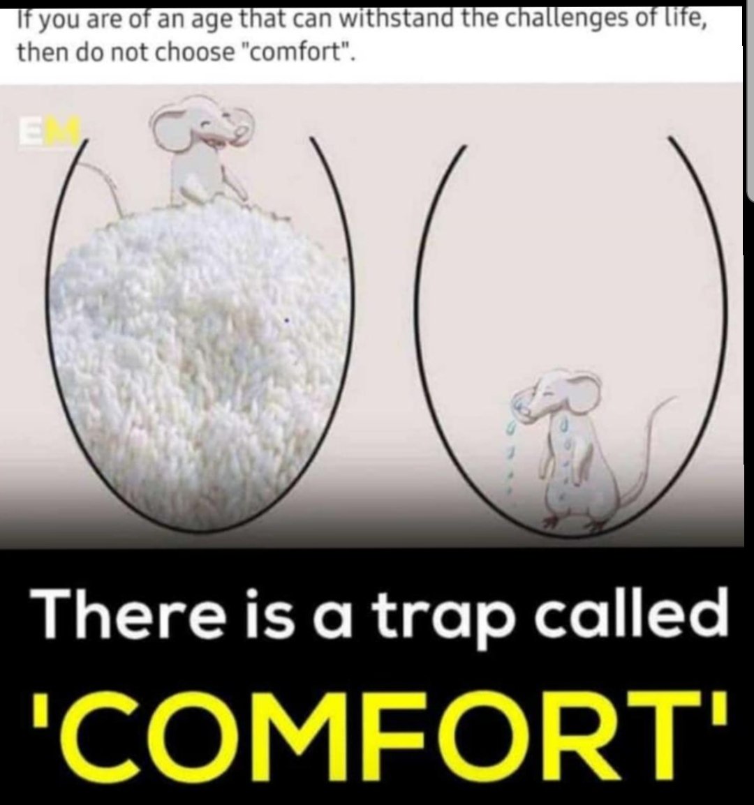 SamerSHarb's tweet photo. If you are of an age that can withstand the #challenges_of_life, then do not choose "#comfort" https://t.co/JTwcMraR8g