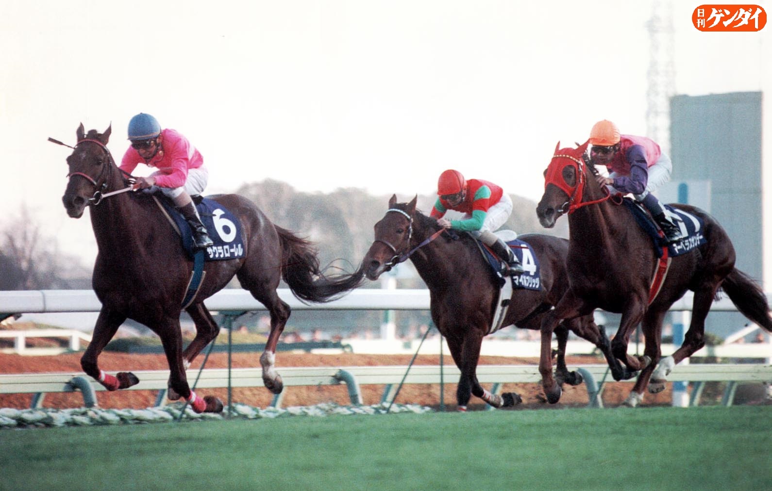 日刊ゲンダイ 競馬 １９９７年の引退から月日が経ち ２０１３年１２月２２日の中山競馬場 有馬記念デーのお昼休みにサクラローレルはお披露目されました 懐かしのシーンを 当日の有馬を制したのはオルフェーヴル 見事な引退ｖでした サクラ