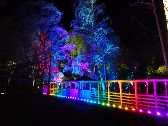 hc_loch's tweet photo. Set amidst the stunning Autumn woodland of Forestry Commission Scotland’s Faskally Wood in Highland Perthshire, The Enchanted Forest is Scotland’s premier sound and light event.

The dates for our 2020 show are 1st October – 1st November 2020.

https://t.co/wDizUvMcvM https://t.co/DlY6neQI6p