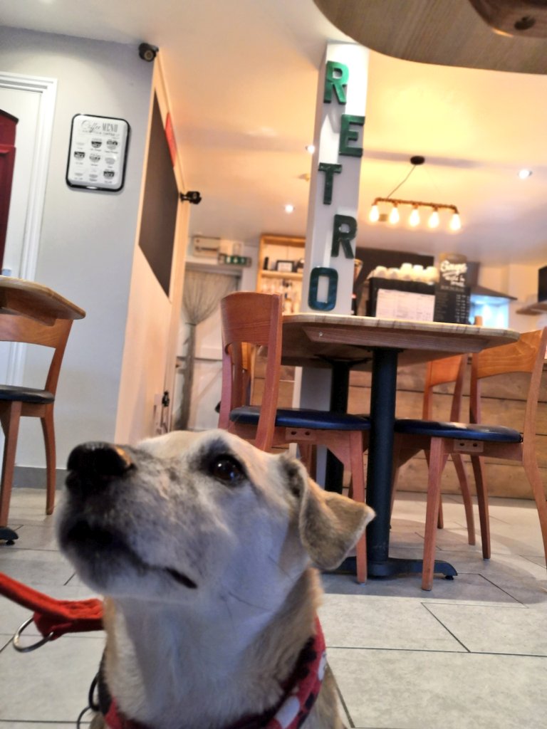 Firesnapper999's tweet image. Another #Decaff stop on our limp out &amp;amp; about. I blame Benson, he knows all the best cafes... #NorthCamp #Farnborough