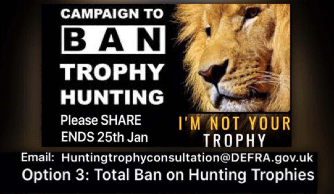 🌹#LAWS4Animals 🐾🦁🦊🐘🦛🦒🐒🌿🌳 tweet media