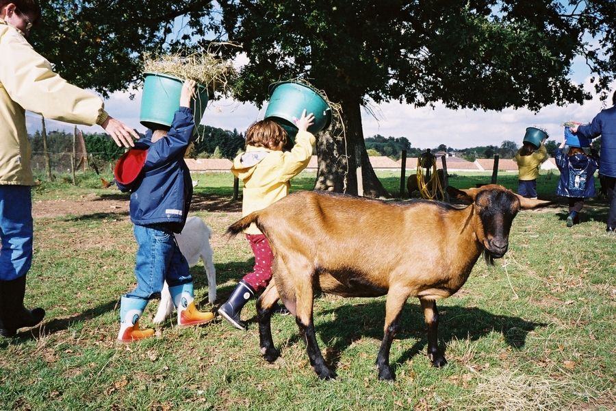 Graines de Troc : libérer les semences pour sauvegarder la biodiversité cultivée >> buff.ly/2L6VpcP ● #MOTIVACTION de <a href="/GrainesdeTroc/">Graines de Troc</a> ● #Graines #Semences #Troc #Consommation #Responsable #Conso #Durable #Alimentation #BIO #DD #Nature #Biodiversité ●