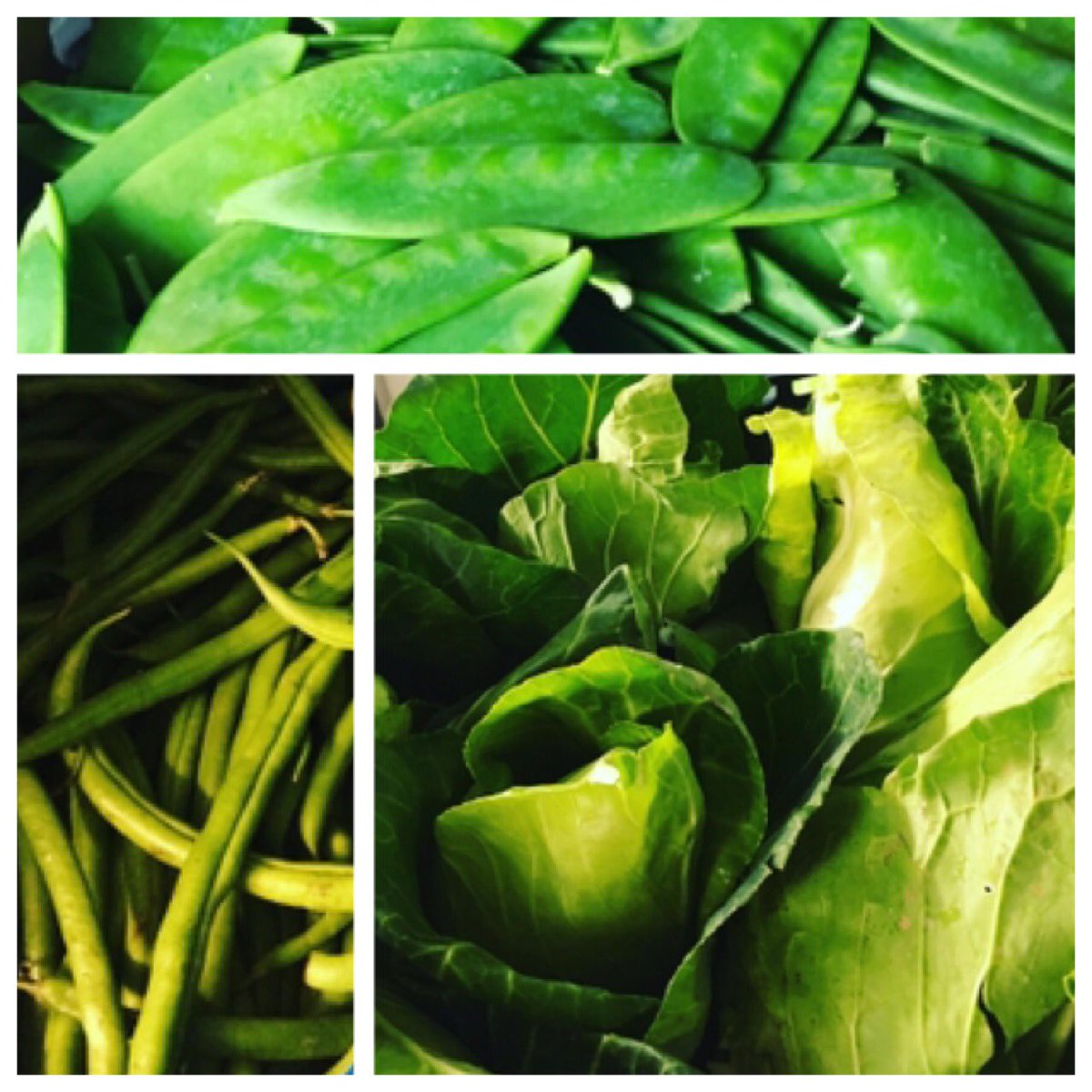 rushtonsgrocer's tweet photo. Some wonderful products from around the warehouse this week.
#hispicabbage #mangtout #butternutsquash #finebeans #jerusalemartichoke
#fresh #quality #foodservice #ingredient #london #chef #restaurant #hotel #gastropub #caterer #itsallinthedetail #supplyingbrilliancetothekitchen https://t.co/jOfWE9wZSJ