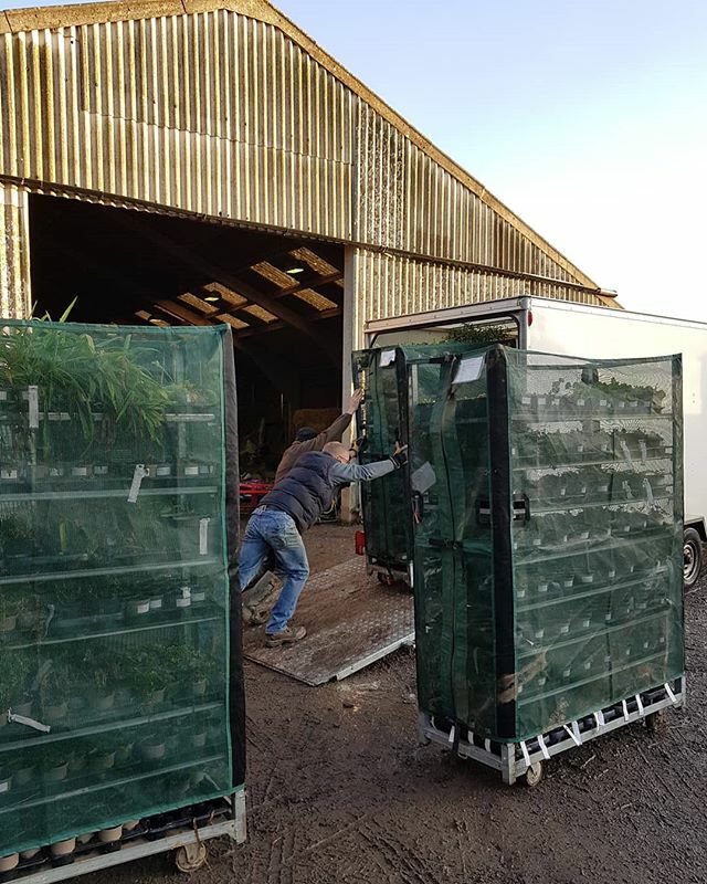 thenurseries's tweet photo. Loading in sunny #Pickering for @rhsbridgewater @rhs_bridgewater more on the road Sylvia! #peatfree #taupepots #yorkshiregrown #rvrnursery https://t.co/xOJnpkuGL6 https://t.co/lId2Q85xI1