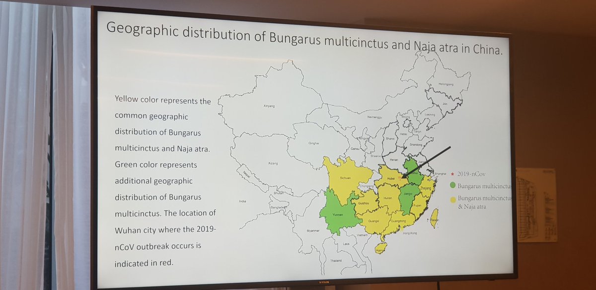 Brianhemophilia's tweet photo. Farrugia at #PLUS2020 on the new Coronavirus originating in Wuhan,China. Virus should not be transmissable through virally inactivated plasma derived medicinal products because of viral inactivation. In this way, similar to SARS and Muddle East Respiratory Syndrome ( MERS) 1/ https://t.co/jdH2bmxFn2