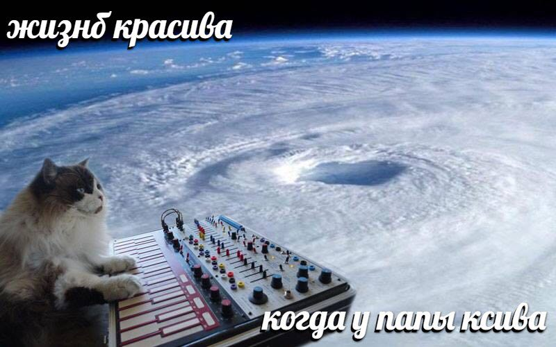 EPCbyPwWkAEC138?format=png&name=900x900