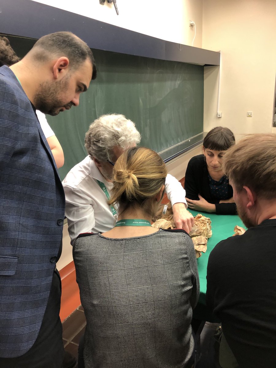 More #surgicalanatomy by prof #DeRuiter 🇳🇱 with a special attention to nerves in #pelvis #colorectalsurgery ⁦<a href="/ESSOnews/">European Society of Surgical Oncology (ESSO)</a>⁩ #course #tipsandtricks #surgicaltraining #colorectalcancer ⁦<a href="/RovielloFranco/">Franco Roviello</a>⁩ #EYSAC