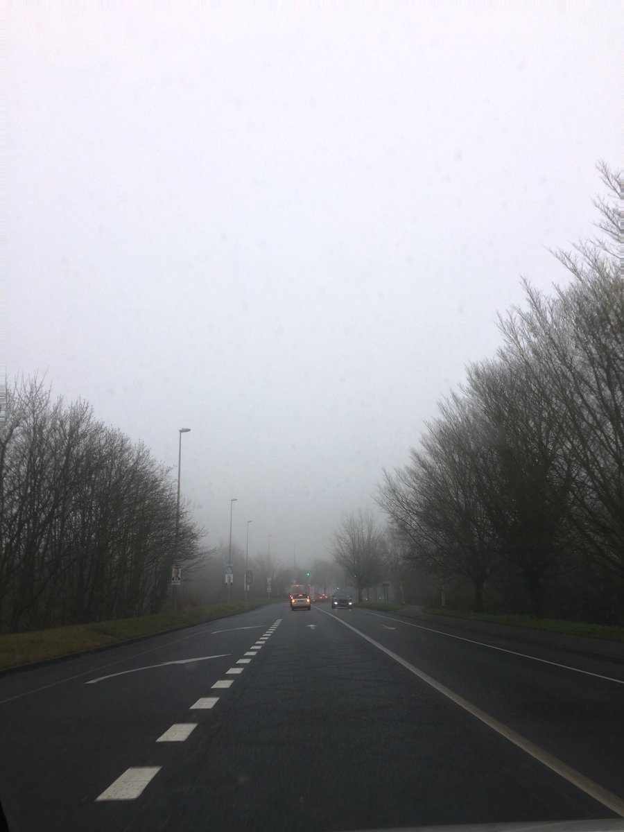 JulieOR76023902's tweet photo. Day 92/100 Foggy mornings #100sonas #winterstillhere https://t.co/a9GIZiKY2q