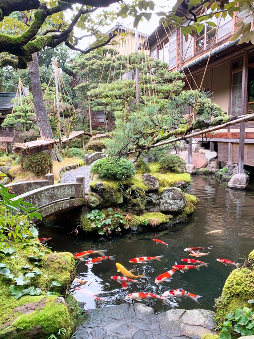 コスプレイヤーyamiのTwitter画像17