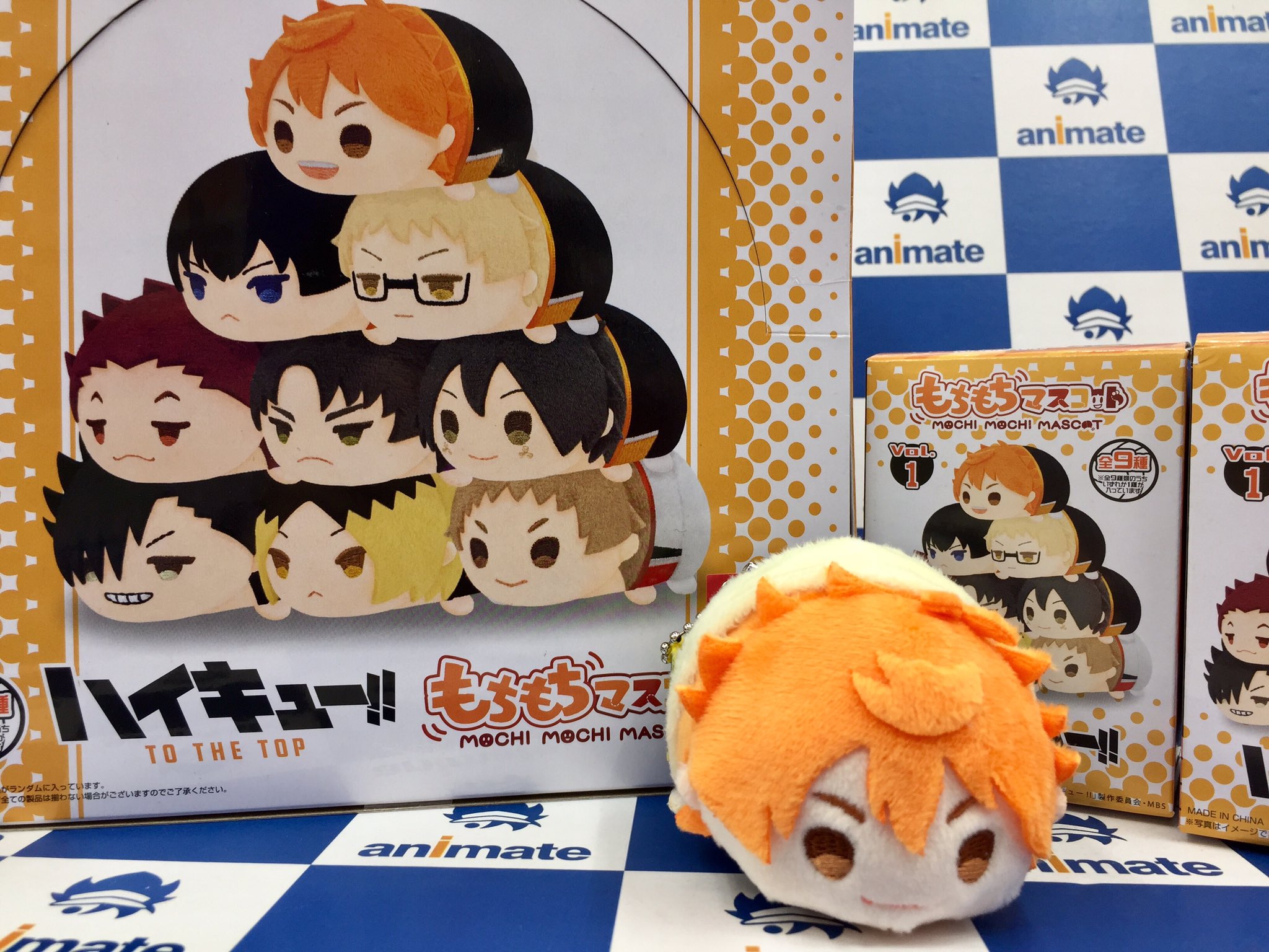 ハイキュー　もちもちマスコット　vol.3  もちマス　アニメイト ハイキュー!!】もちマスvol2＆vol3 ぬい一挙BOX開封！配列検証も