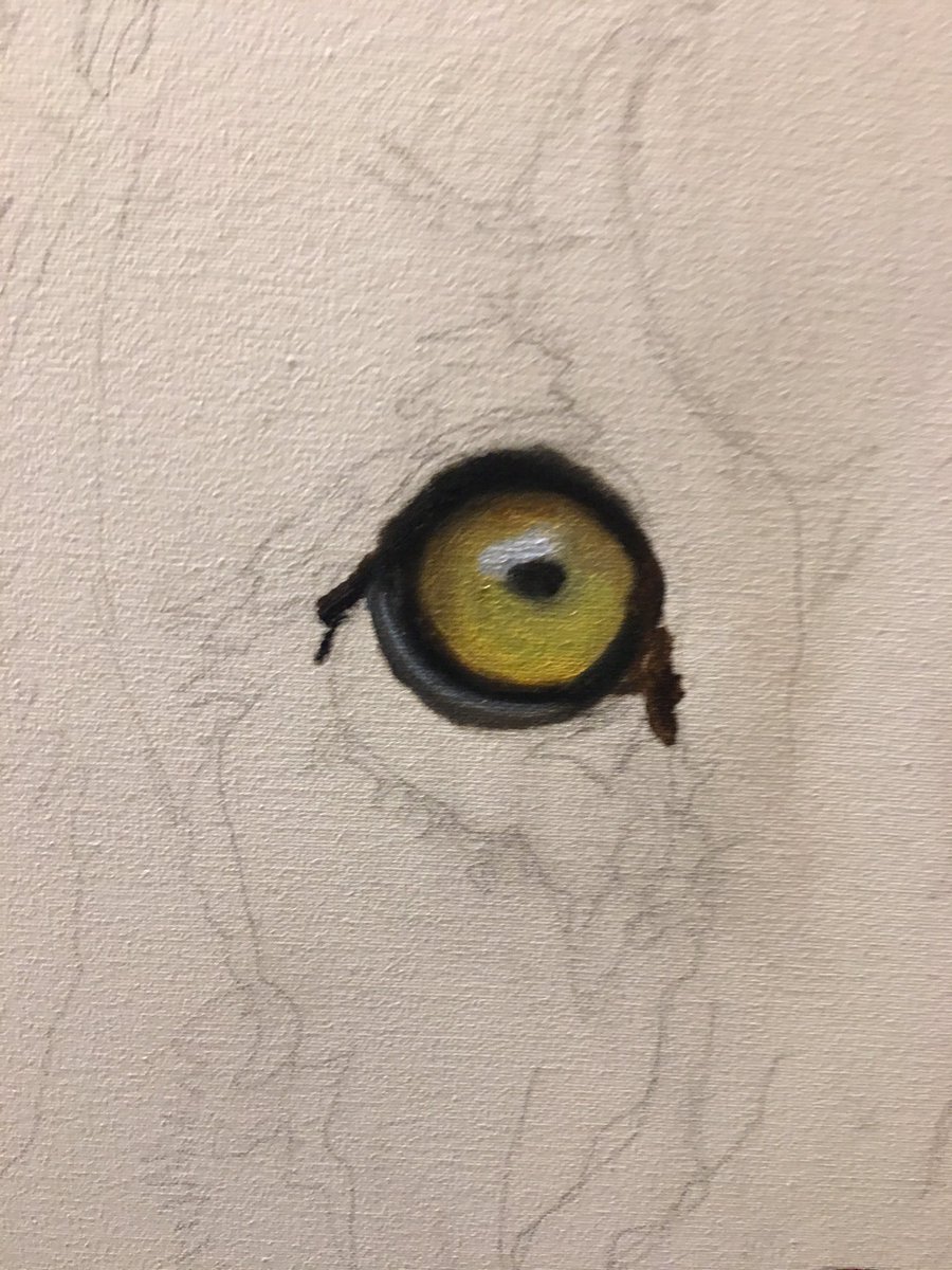 Eye see you.  #fineart #painting
#artist
#eyes 
#artwork
#wildlifeart
 #animal
 #artgallery
 #sportingart
 #beauty
 #outdoors 
 #nature