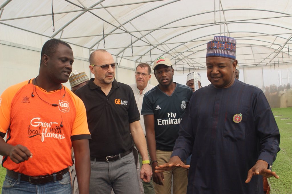 OvieAli's tweet photo. Gino Tomato Paste's factory nears completion as production is set to begin in April. The 50 billion Naira  plant in Ngaski will get tomatoes from out-growers working over 1000 hectares of tomato farm. This project will cut the imports of tomato paste from their plants in Asia. https://t.co/xAvRgdyBot