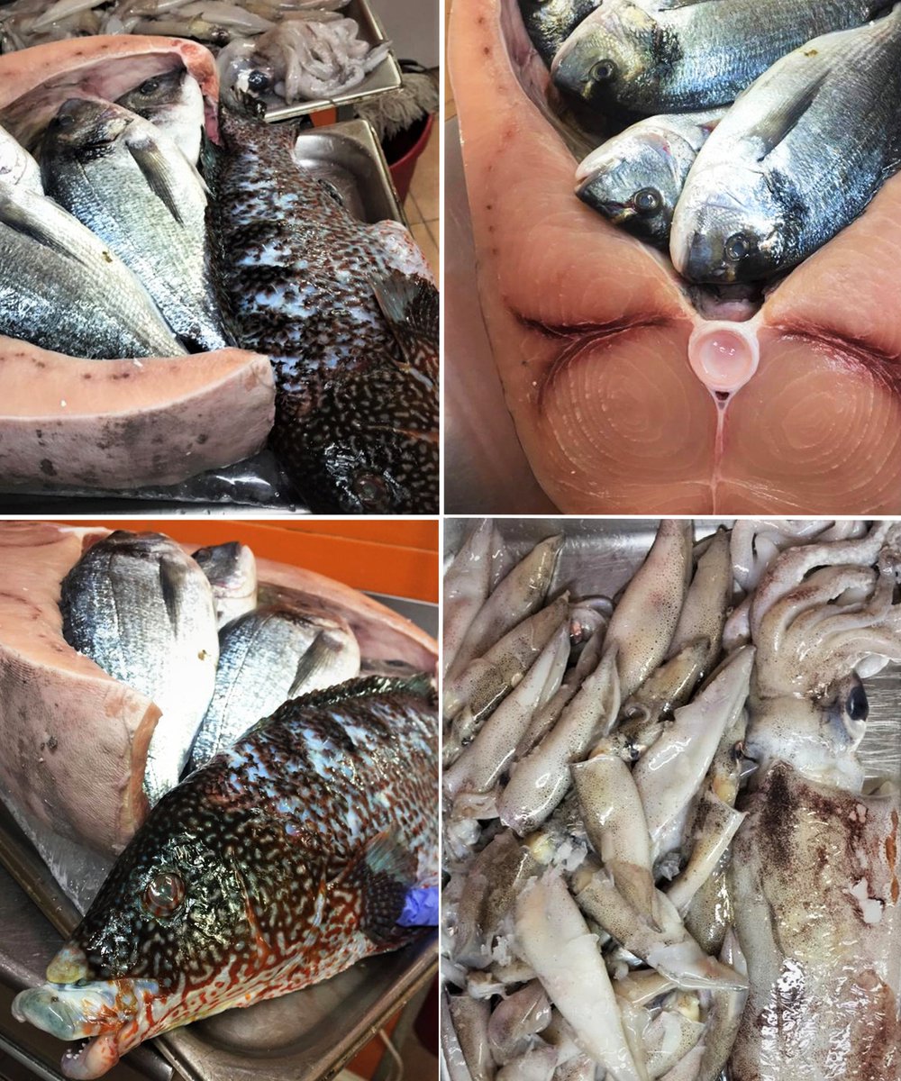 RestCondumios's tweet image. ¡Hoy traemos pescado y marisco fresco desde los mejores puertos de España!🐟
👉 Desde Galicia: almejas, pinto, calamar de portera y chipirones
👉 Desde El Puerto de Santa María: dorada de los esteros del Guadalquivir, pez espada y camarones.
¿Quién se resiste a estos manjares?