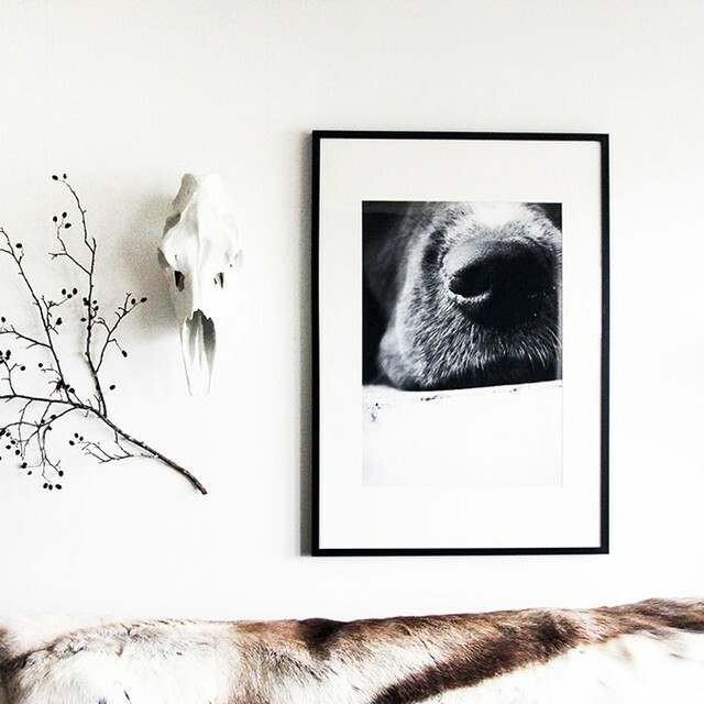NDCse's tweet photo. Så vackert! 😍 ⁠
"Dog nose" från Pernilla Walkhamre⁠⁠
.⁠
#posters #prints #nordicpostercollective https://t.co/OuhrqRnS0X