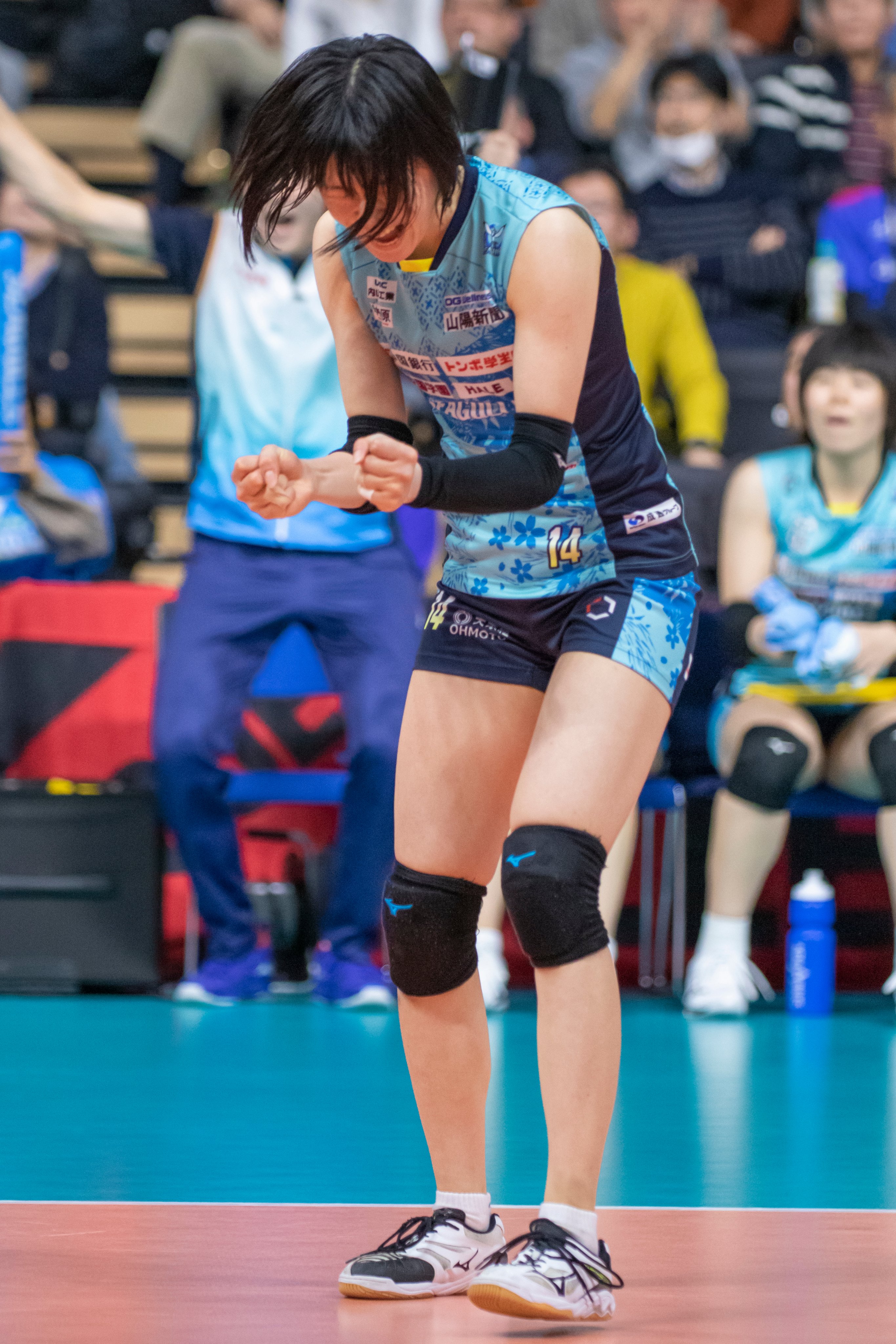 宮遥 (@miya09haru01) / X 宮遥 (@miya09haru01) / X