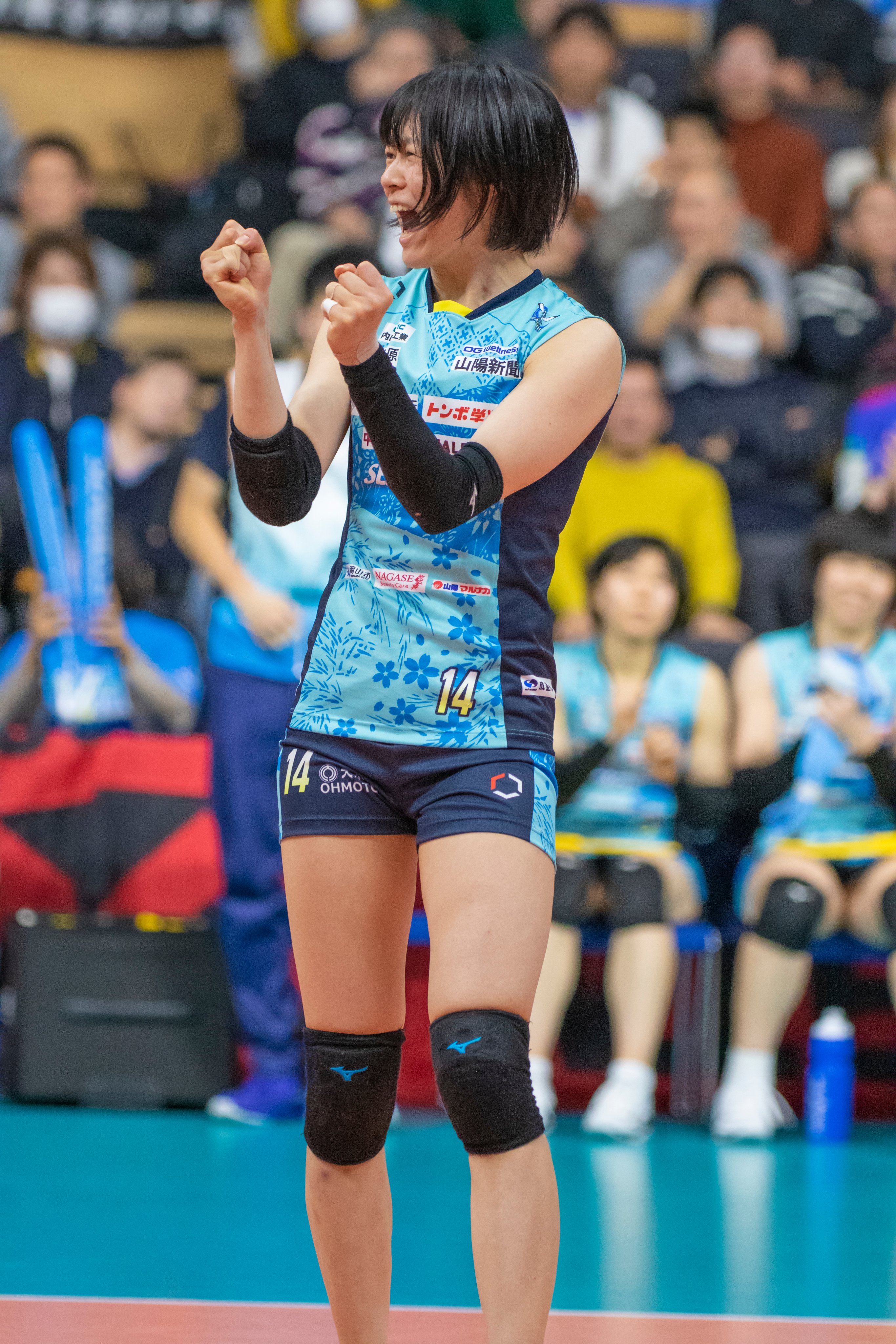 宮遥 (@miya09haru01) / X