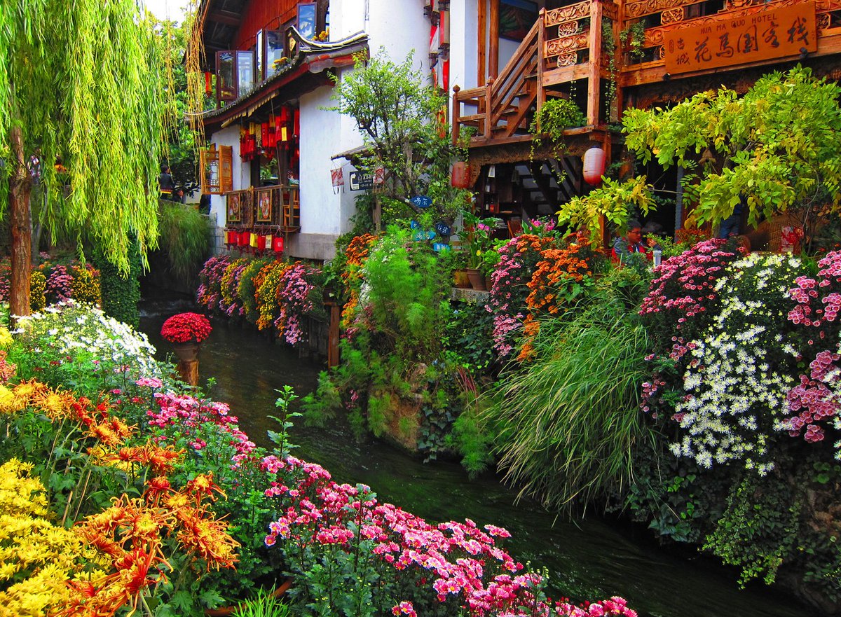 TanSuoTravel's tweet photo. "A book is like a garden carried in the pocket" - Chinese proverb
#QOTD #FridayFeeling #Garden #Reading #BookLovers https://t.co/iiNjRIoKHQ