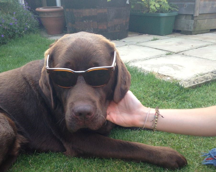 We have both given it a lot of thought and decided that <a href="/Bowman_House/">Bowman House</a> is the best price, best location, best #internetspeed  and best #offices locally. Give them a ring 01793843100 and get your new #office sorted today. <a href="/TotalSwindon/">Total Guide to Wiltshire</a> <a href="/WorkWiltshire/">Work Wiltshire</a> @WiltsHour <a href="/swindonadver/">Swindon Advertiser</a>