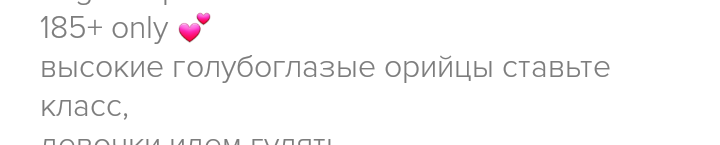 Детектор пса tweet media