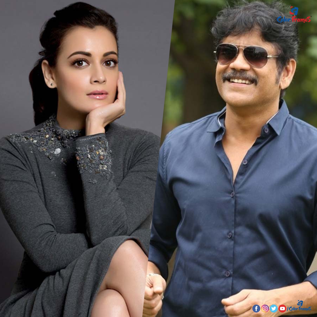 colorframesind's tweet photo. Nagarjuna And Disha Patani
#Nagarjuna #dishapatani #colorframes https://t.co/D0WobXNjfy