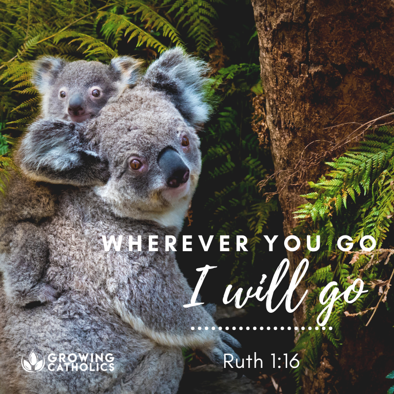 GCatholics's tweet photo. Go - https://t.co/GwiPMlLmLr
#bookofruth #ruth #bible #scripture https://t.co/puyBsjNULY
