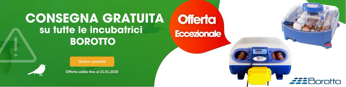 La stagione dei pulcini sta cominciando!🐣🐥
Su FARMITOO tutte le incubatrici <a href="/Borotto_/">INCUBATRICI BOROTTO</a> sono con CONSEGNA GRATUITA! L'offerta è valida solo fino al 31. gennaio! Approfitta subito su:
farmitoo.com/it/produttore/…