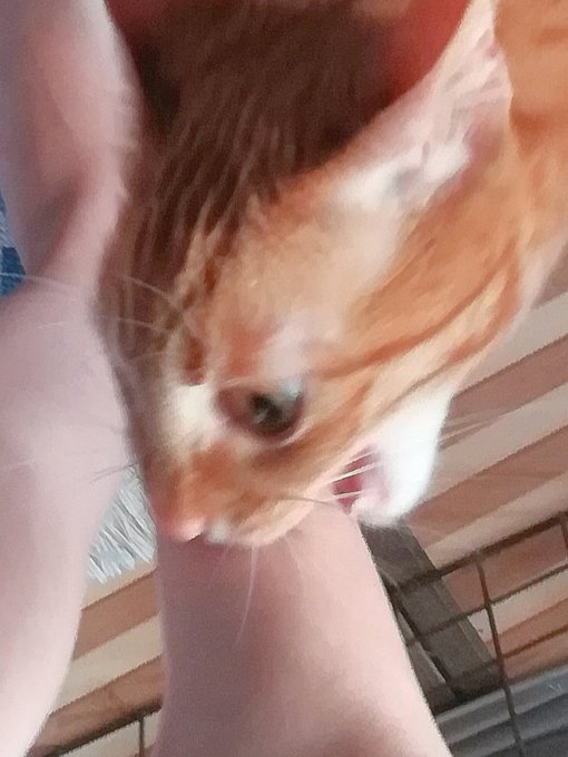 See Ruuiruiruirui S Tweet On Jan 24 Twitter See Ruuiruiruirui S Tweet On Jan 24 Twitter