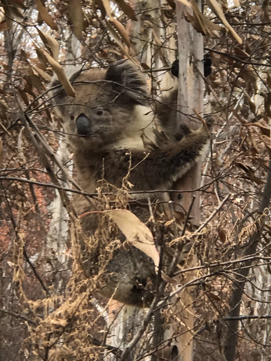 Paul Murphy tweet media