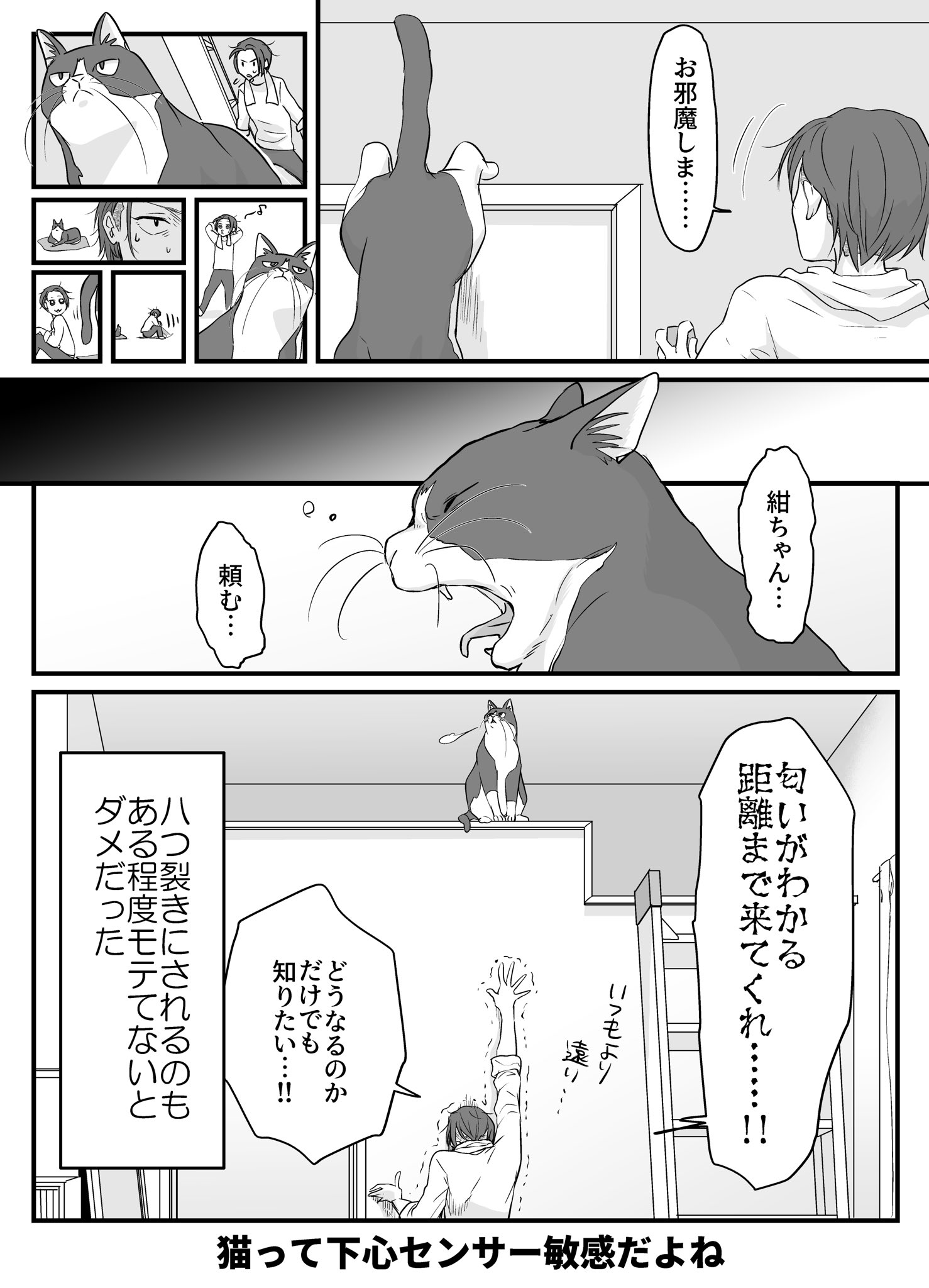 寂しんぐ Samithing Twitter