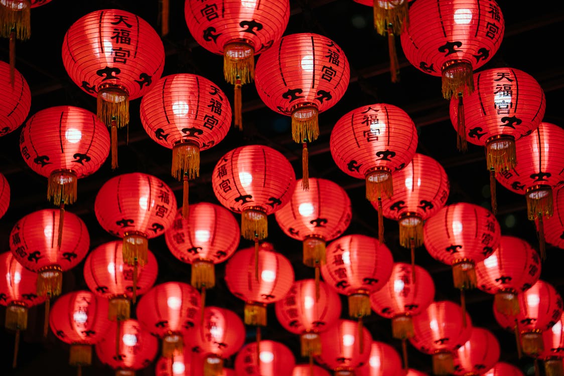 SpongeCakesLtd's tweet photo. Tomorrow is the start of the Chinese New Year! 🇨🇳The festival lasts till February 8th &amp; this year is the year of the Rat🐀. So celebrate with some cake! Learn about the Chinese New Year in our new blog post - 
https://t.co/fZPU5PBefw🏮#SpongeBlog #ChineseNewYear #YearOfTheRat https://t.co/J5e5vXLZNr