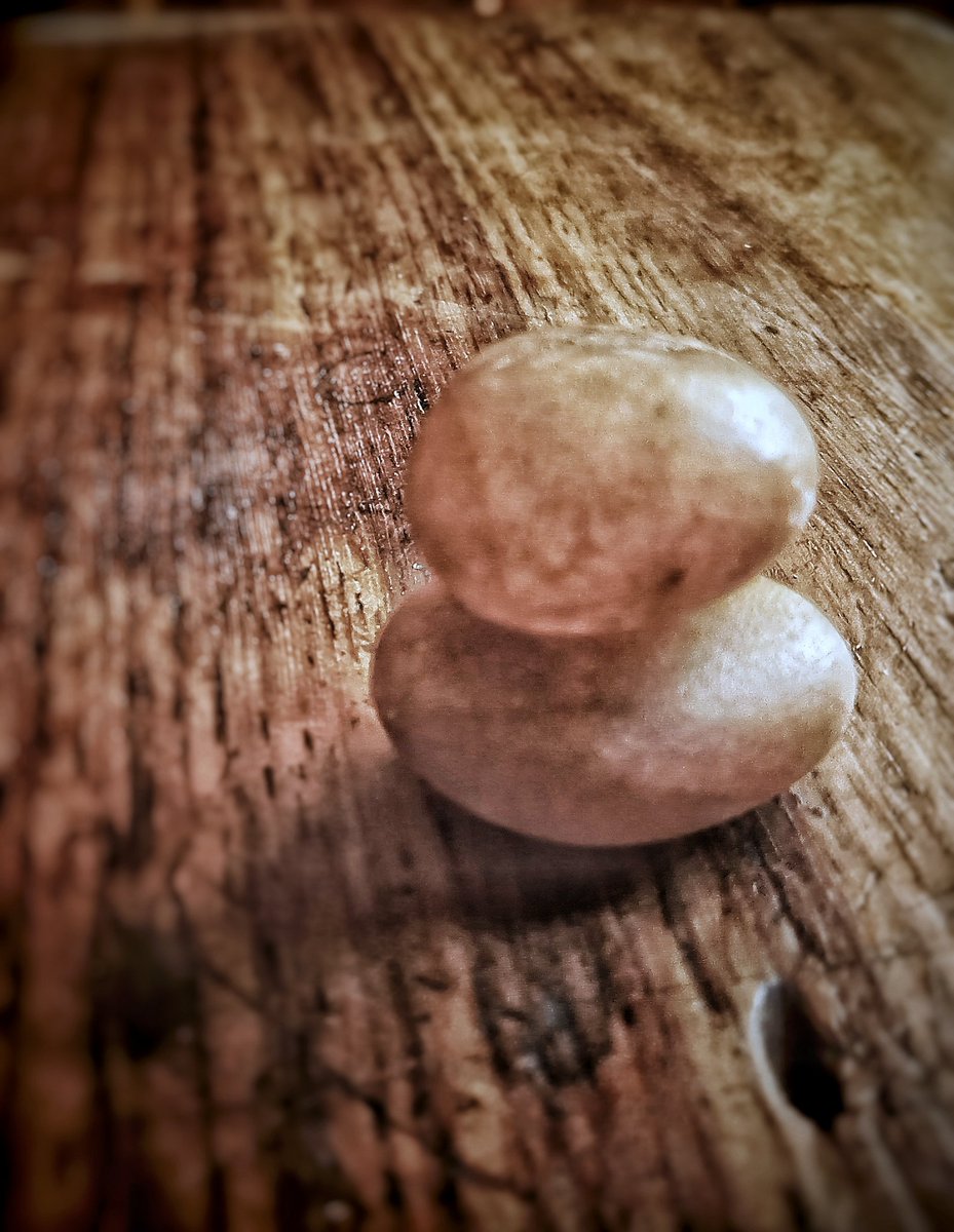 harmix2011's tweet image. The best is yet to come.