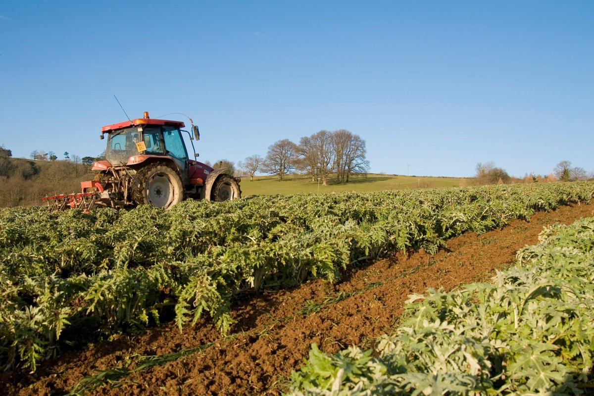 ZoeWyeth's tweet photo. Only 4 days left to apply for Email Marketing Manager @Riverford. We can promise field views from your desk 👍 free organic fruit and veg from grade out 👍 and working for a brilliant ethical company that's employee owned 👍 why haven't you applied yet?! https://t.co/mxHhbSwtwJ https://t.co/JA9ytOXgfR
