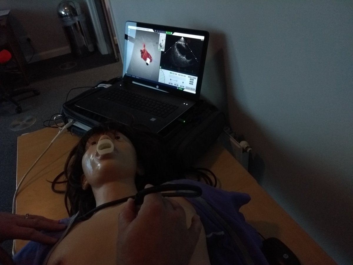 Sim_ALS's tweet photo. Amazing piece of kit! #Simulator 'Eve' from @Heartworks @SmarterScanning really helping with understanding what tilting, sliding, rocking or lifting does to your picture!

Echocardiography for FICE &amp; FUSIC #SITRUS 

#simulationrocks
#POCUS
#SimFellow

@SitrusUK https://t.co/BkdGHIRzEN