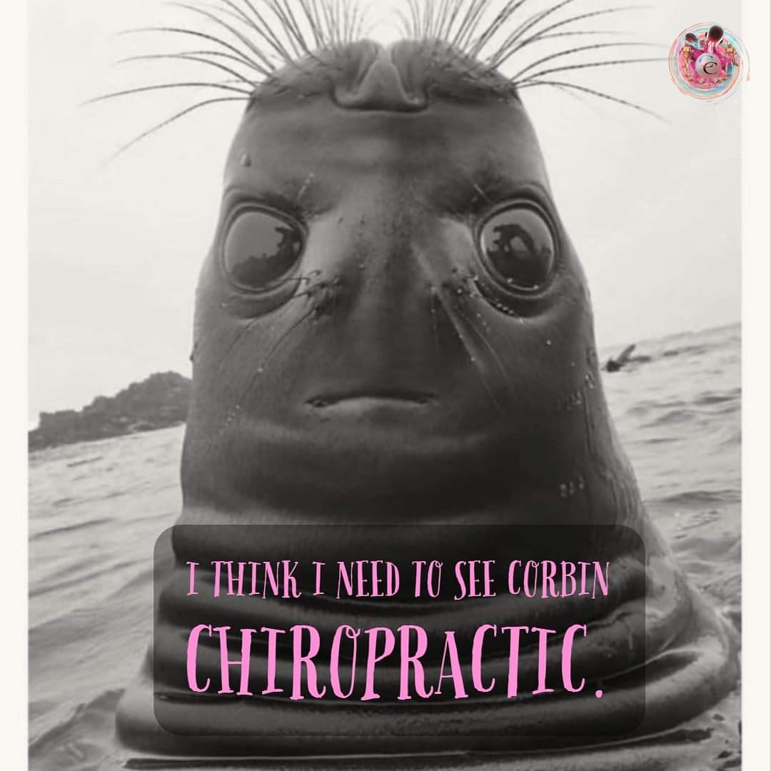 If you are feeling like this then we will have some availability next week for you. Send us a DM and we can get you booked in. 😂

#chiropractorcardiff
