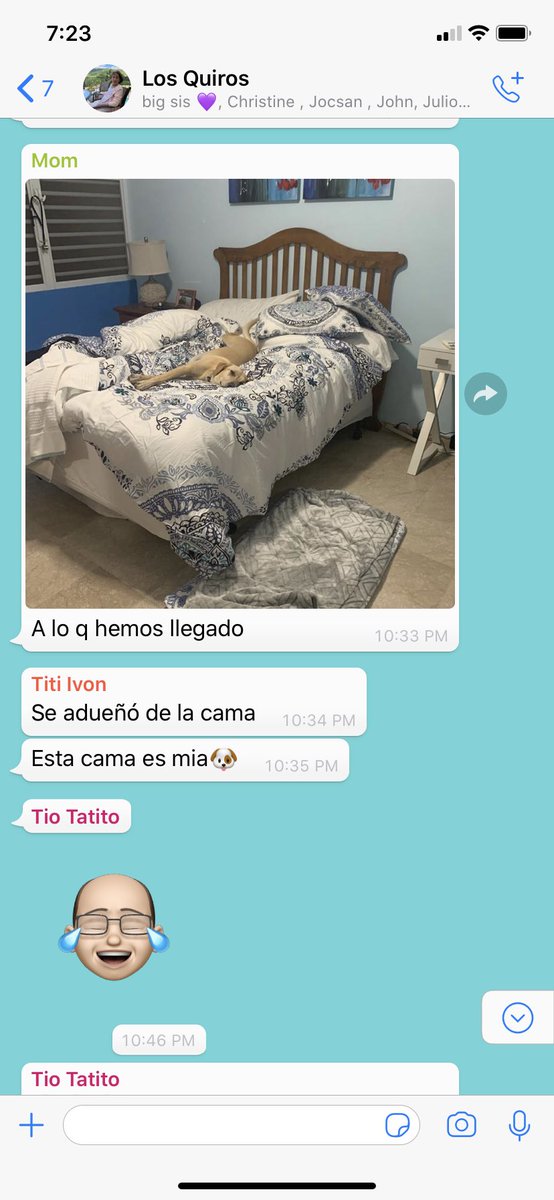 knlq12's tweet photo. It is in fact her bed!! #roommatesgoals https://t.co/j4qFbwXWs5