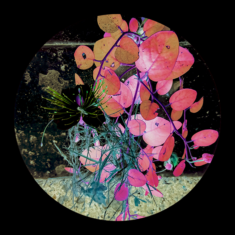 Alcarriceol's tweet photo. Mon petit doigt me dit qu'on va me voir à la Vitrine d'Art2rennes sous peu #rennes  #art2rennes #Exposition https://t.co/wsAnbrf9oZ