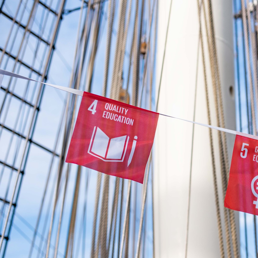 SDG World Tour tweet media